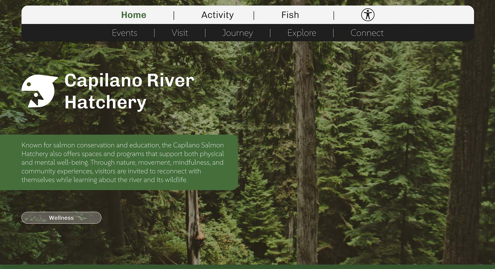 A redesign of the Capilano Hatchery government website made using Figma